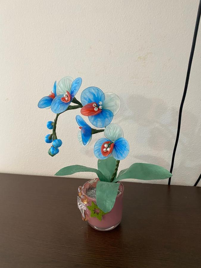 Villa Leona Palushaj 도니 스토이 외부 사진